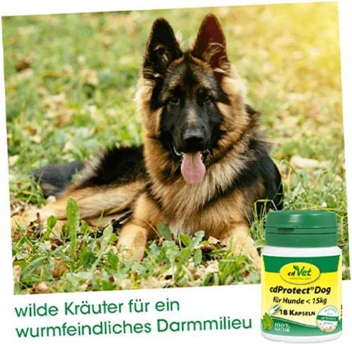 Produktbild cdVet cdProtect® Dog (Adult, Senior, 18 Stk., 50 g)