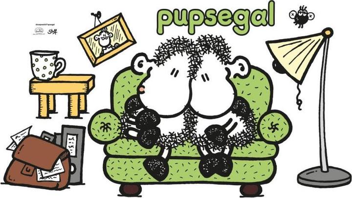 Produktbild Sheepworld Pupsegal (60 x 34 cm)