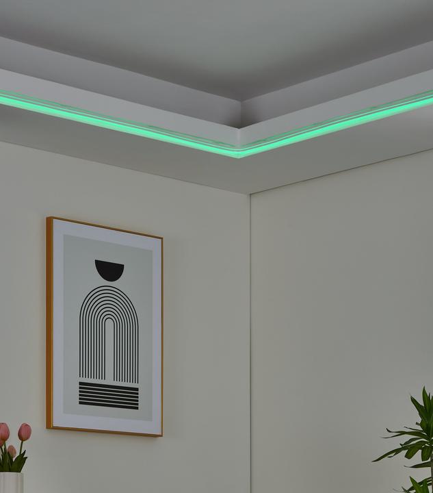 Image du produit EGLO Neon-stripe-z (300 cm, Intérieur, Extérieur)