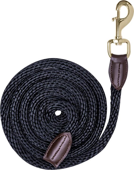 Waldhausen Exklusive Präsentationsleine mit Karabiner