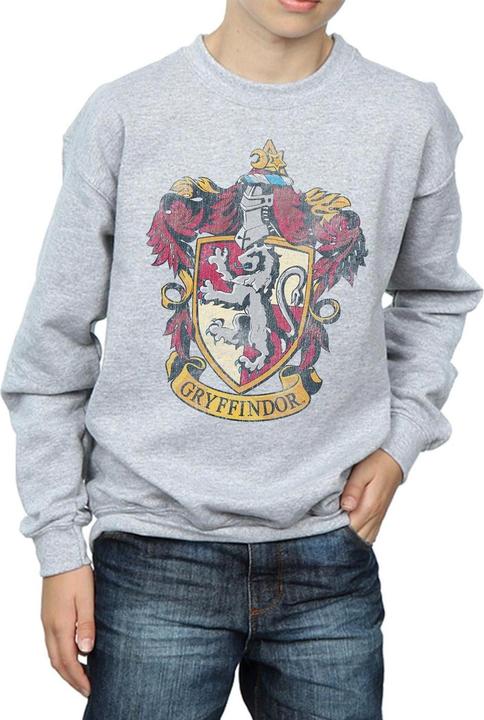 Boys Gryffindor Sweatshirt