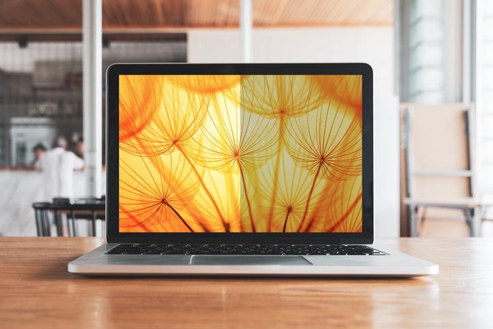Productafbeelding 3M Bright Screen Privacy Filter (14", 16 : 10)