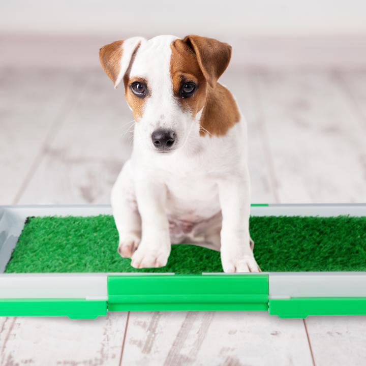 Actual product image Relaxdays Dog toilet (Dog)