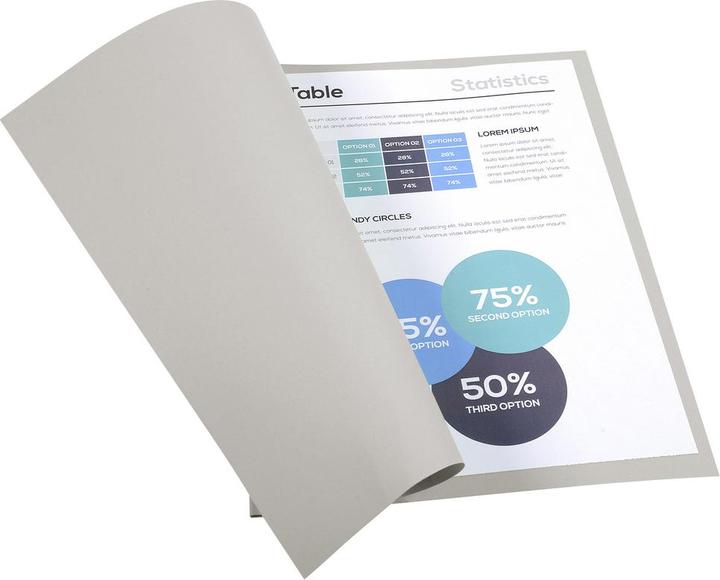 Produktbild Exacompta Sammelmappen - Aktendeckel (24 x 32 cm, 100 x)