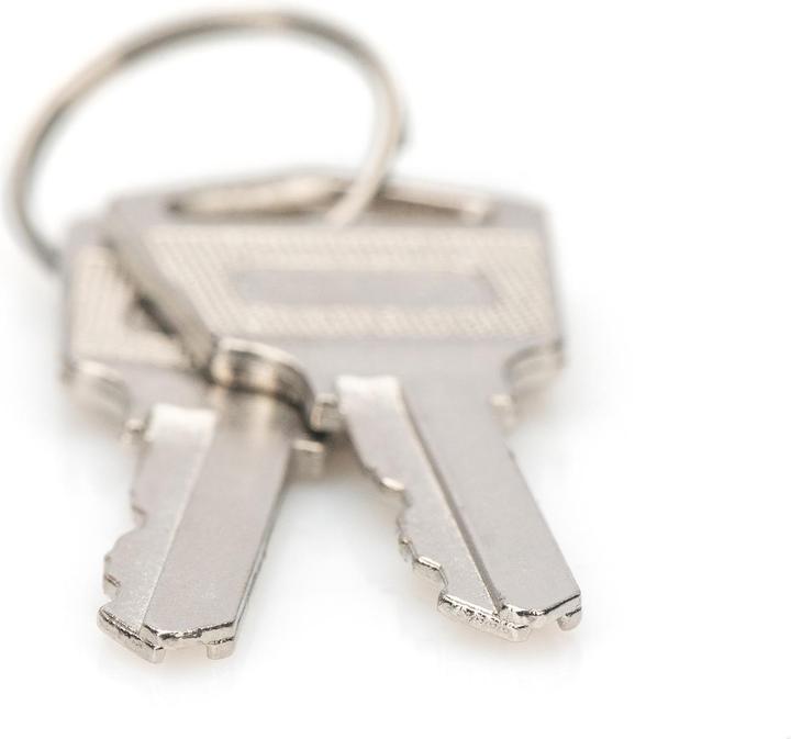 Actual product image Digitus Key for Charging Cabinets