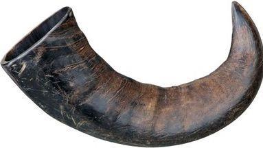 Immagine prodotto Trixie Corno di bufalo naturale da masticare (Adulto, 1 pz., 150 g)