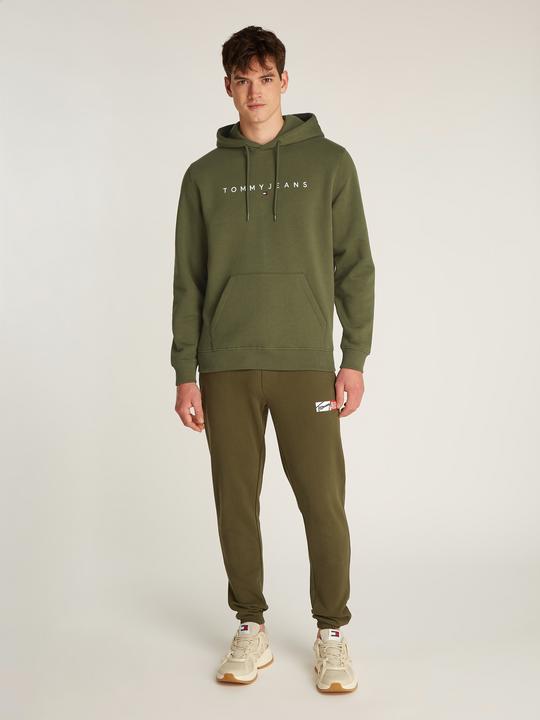 Produktbild Tommy Jeans Tjm Reg Linear Logo Hoodie Ext (L)
