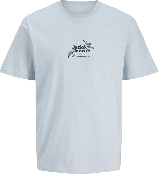 Jack & Jones Jorjuka Tee Ss Crew Neck Stydss25 (L)