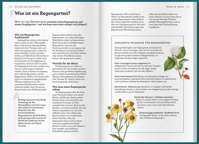 Actual product image Können Igel schwimmen und gehen Bienen baden? (German, Helen Bostock, 2020)