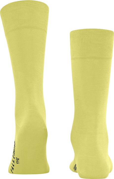 Immagine prodotto Falke Cool 24/7 Herren (41 - 42)