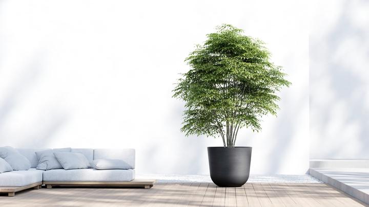 Actual product image Ecopots Oslo (75 cm)