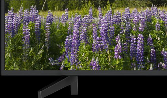 Immagine prodotto Sony Kd-49xf7005 (49", LCD, 4K, 2018)