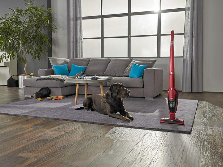 Image du produit AEG CX7-2-45AN