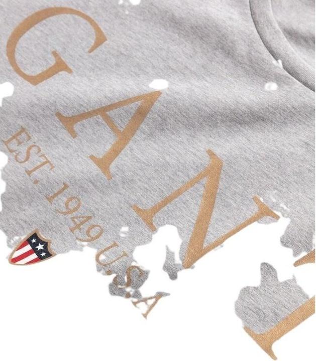 Produktbild GANT t-hirt (S)