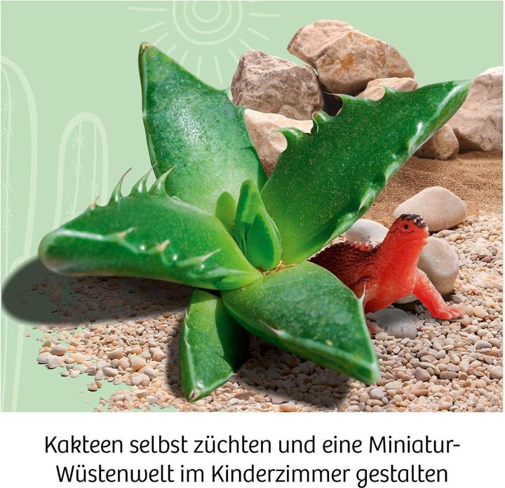 Image du produit Kosmos Désert de cactus