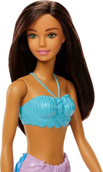 Actual product image Barbie HGR07