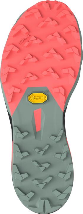 Actual product image Dynafit Alpine Pro 2 Laufschuh (40)