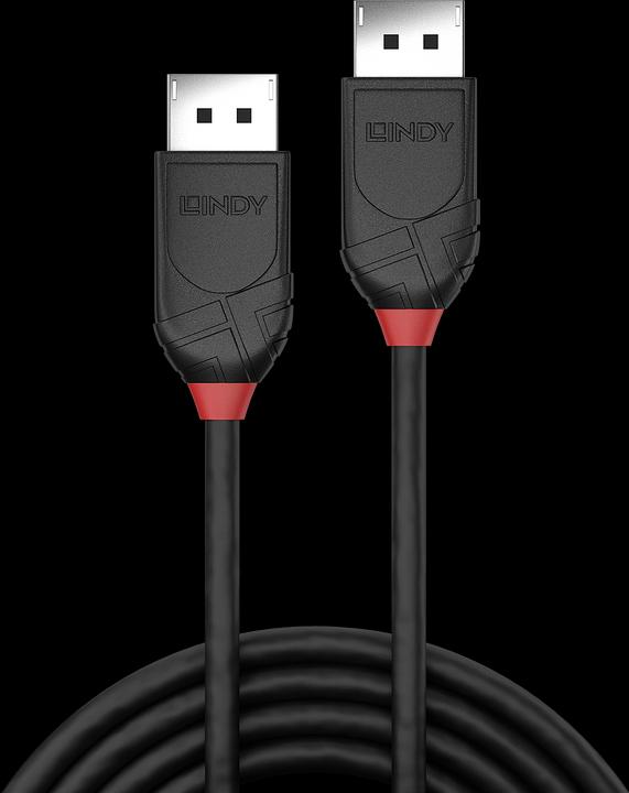 Produktbild Lindy DisplayPort — DisplayPort (0.50 m, DisplayPort)