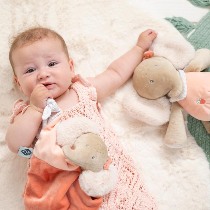 Actual product image Nattou Flo, Ernest & Oli Oli the elephant