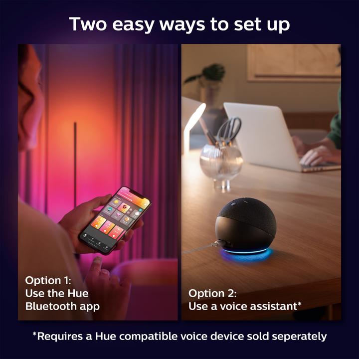 Actual product image Philips Hue Gradient Signe (1040 lm)