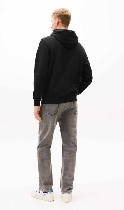 Immagine prodotto Tommy Jeans Tjm Reg Rwb Dna Graphic Hoodie (L)