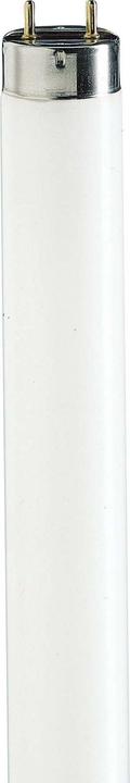Actual product image Philips MASTER TL-D 79 light colour fluorescent 871150070623240 (G13, 58 W, 2800 lm, 1 x, B)