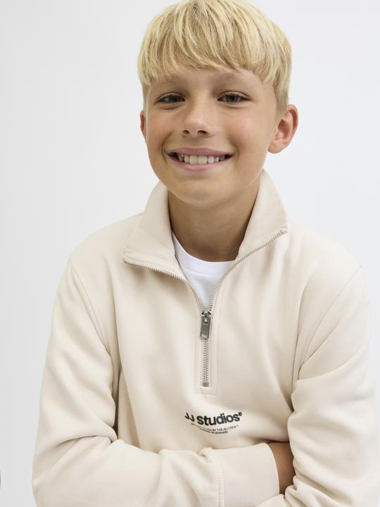 Actual product image Jack & Jones Jjesoho Sweat Quarter Zip Hn Noos Jnr (176)