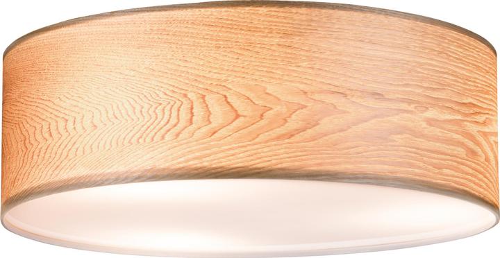 Paulmann Neordic Liska (E27)