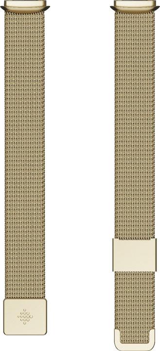 Actual product image Fitbit Luxe stainless steel bracelet (Stainless steel)