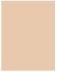 Actual product image Bourjois 123 Perfect (54 Beige)