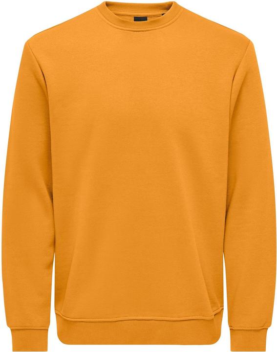 Only & Sons Onsconnor Reg Crew Neck Sweat Noos
