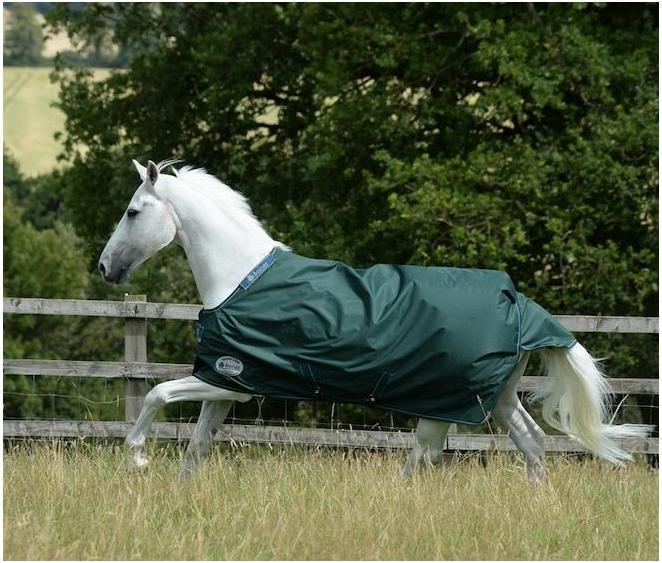 Produktbild Bucas Weidedecke Green-Line Turnout 100g