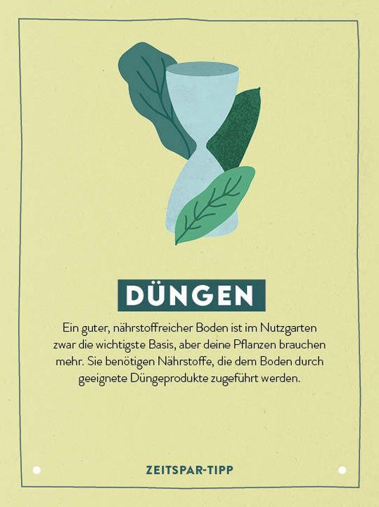 Produktbild Kartenset: Keine Zeit zu gärtnern - 64 Karten - Einfach und schnell zum Gemüsegarten (Deutsch)
