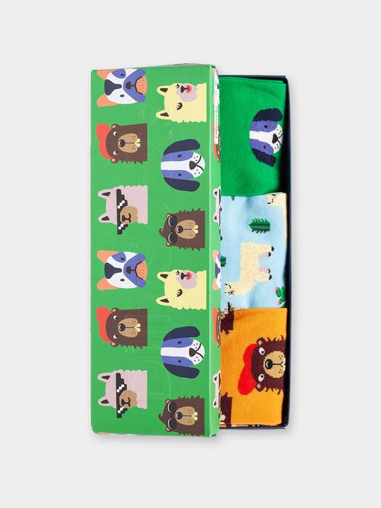 Image du produit DillySocks Pet Family (boîte de 3) (Lot de 3, 41 - 46)