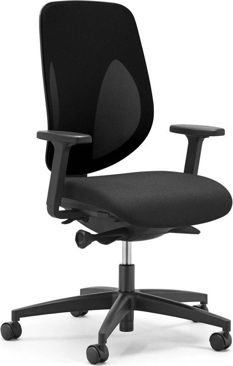 Actual product image Giroflex Net back 353