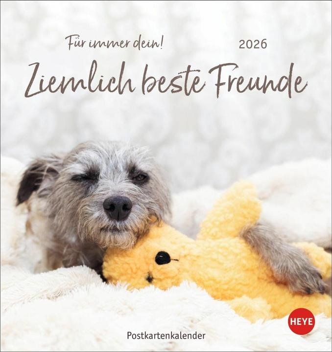 Ziemlich beste Freunde Postkartenkalender 2026 - Für immer dein (Couverture rigide, Allemand)