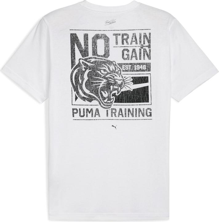 Actual product image Puma M Graphic Illustrated Tee (M)