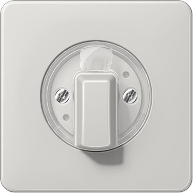 Actual product image JUNG Toggle blind CD lgr glz CD1541LG