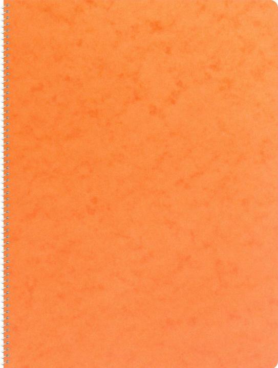 Actual product image Novooo Spiralheft assortiert (A4, Lined)