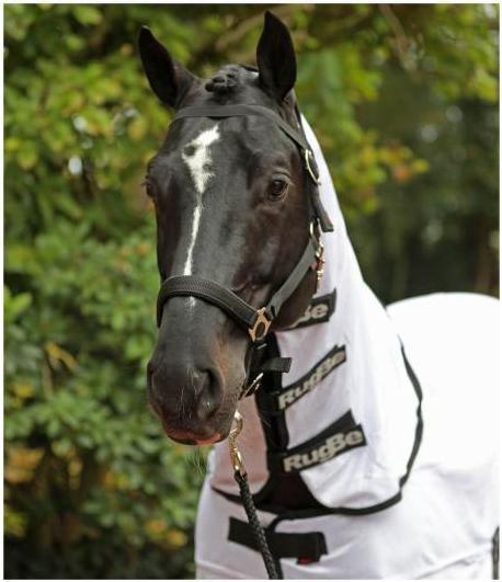 Actual product image Kerbl 328963 Fly rug RugBe SuperFly including neck piece (115 cm)