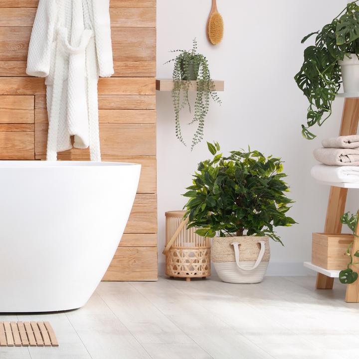 Actual product image Hjh Office Ficus Ii (65 cm)