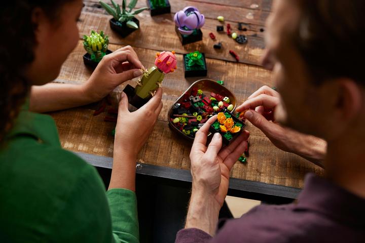 Immagine prodotto LEGO Succulente (10309, LEGO Botanical, Set LEGO rari)