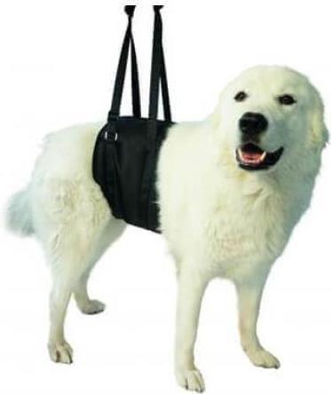 Image du produit Petlando Porte-bébé Vetlando XL (XL, Chien)