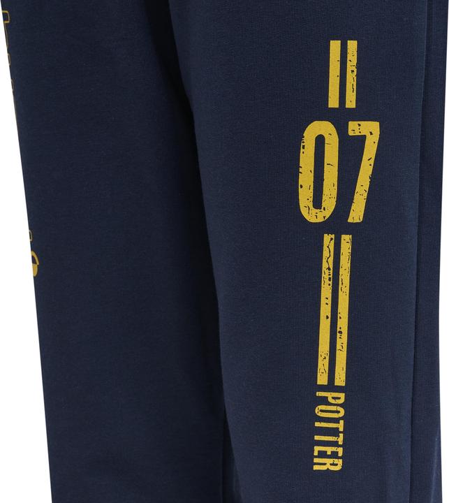 Actual product image hummel Hmlharry Potter On Pants (104)