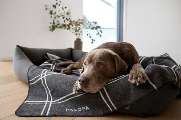 Image du produit Palopa Fred S (Chien)