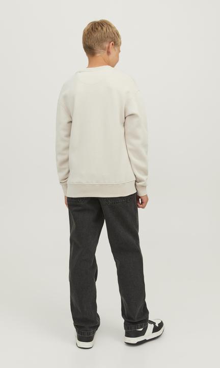 Produktbild Jack & Jones Jorvesterbro Sweat Crew Neck Bn Mni (116)