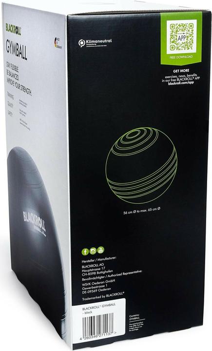 Actual product image Blackroll Gymball (65 cm)