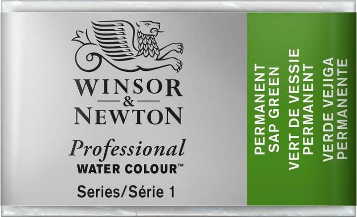 Actual product image Winsor & Newton Watercolour Artists (PY110, Pg36)