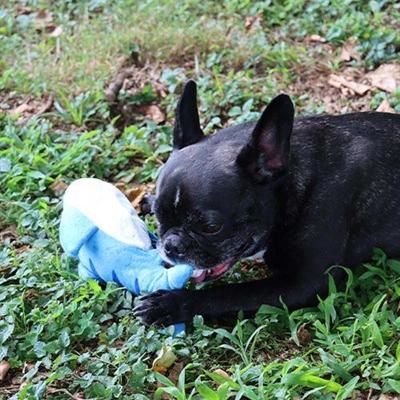 Actual product image Croci Spa Dancing Fish moving fish for dogs 27x7cm (Dog chew toy)