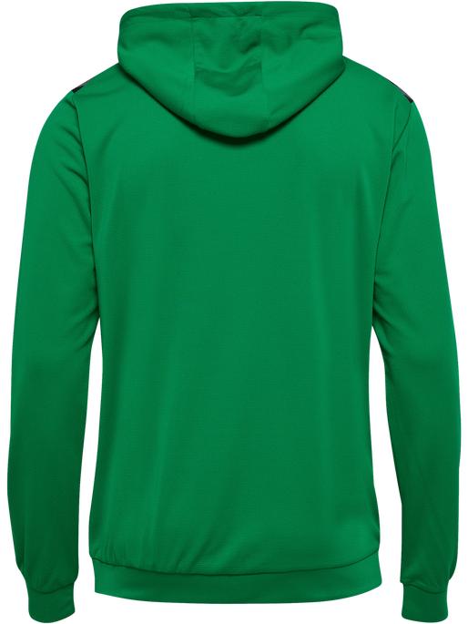 Actual product image hummel Hmlauthentic Pl Hoodie (L)